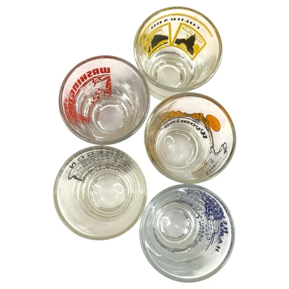 5 VTG Shot Glasses State Theme New Hampshire Washington Colorado Oregon Wyoming
